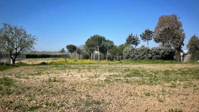 Terreno rural 10m² en alquiler - San Nicasio — 11