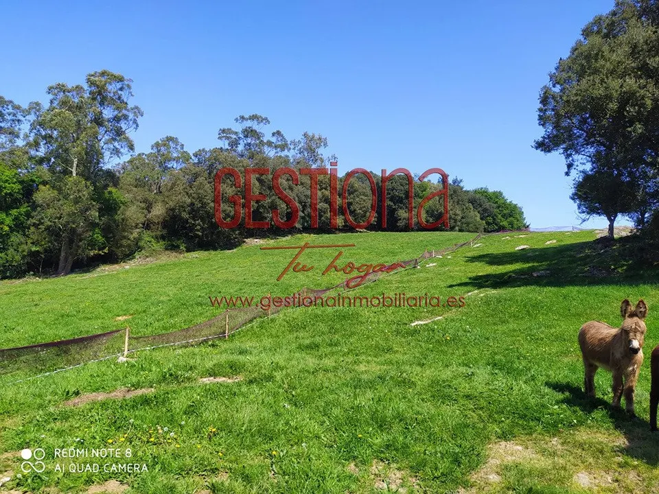 TERRENO RÚSTICO 17.933M2 EN CASTILLO SIETE VILLAS