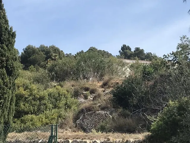 Parcela / Solar (Tosal de La Cometa) 800m2 — 5