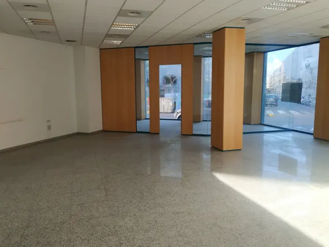 LOCAL 269 M2 - ZONA PLAZA DE MADRID — 7