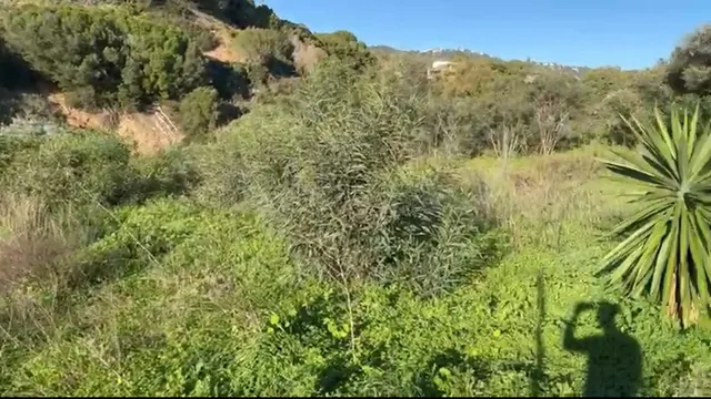 Terreno edificable en Elviria, Marbella: villa de lujo con v - foto 3
