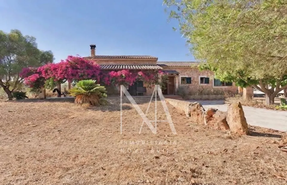 Finca rustica Llucmajor