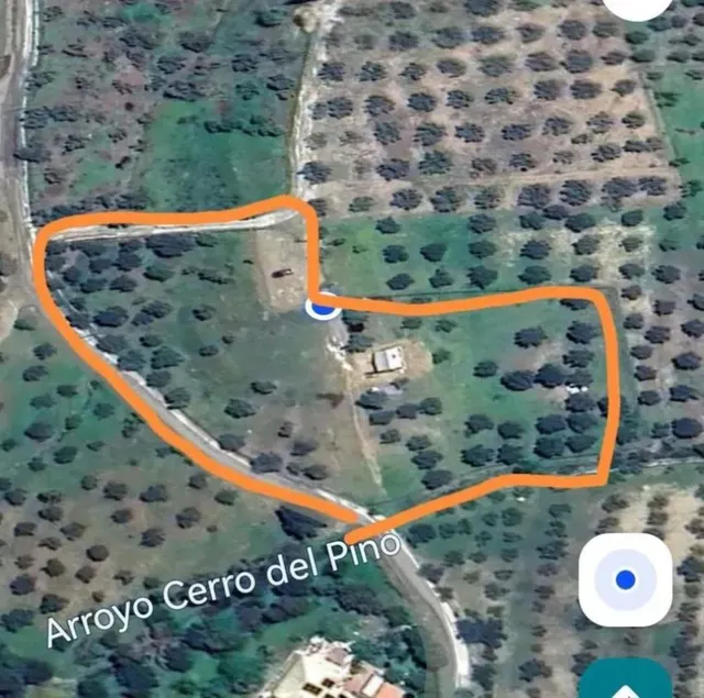 Finca olivar en Monda con vistas al pueblo y naturaleza — 8
