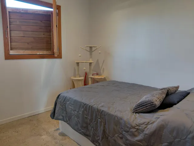 Finca rústica con casita acondicionada y terreno a 500 metros de Manacor — 7
