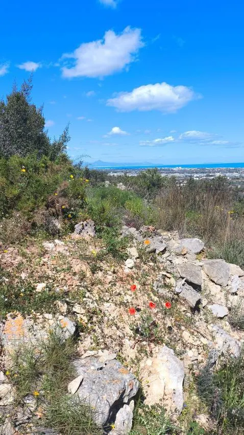 Exclusiva villa mediterránea en el Montgó + Proyecto de reforma adicional — 24