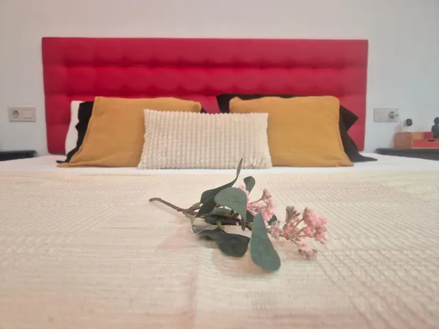 Se vende loft reformado en el Paseo de la Conferencia — 19
