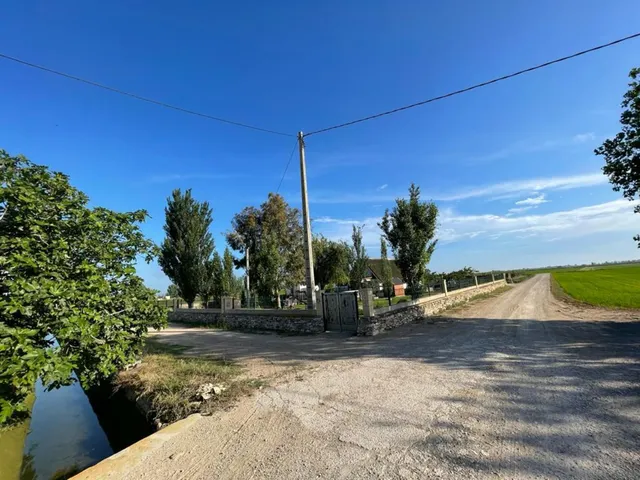 BARRACA TIPICA DEL DELTA — 19
