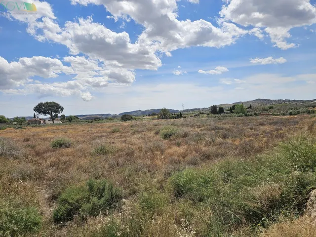 SE VENDE PARCELA EN EL ALJAU - ASPE (ALICANTE) - foto 4