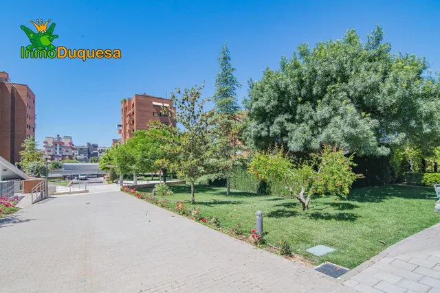 Ático duplex en zona estación de autobuses. Con 4 dormitorios y terraza ded 125 m2 — 33