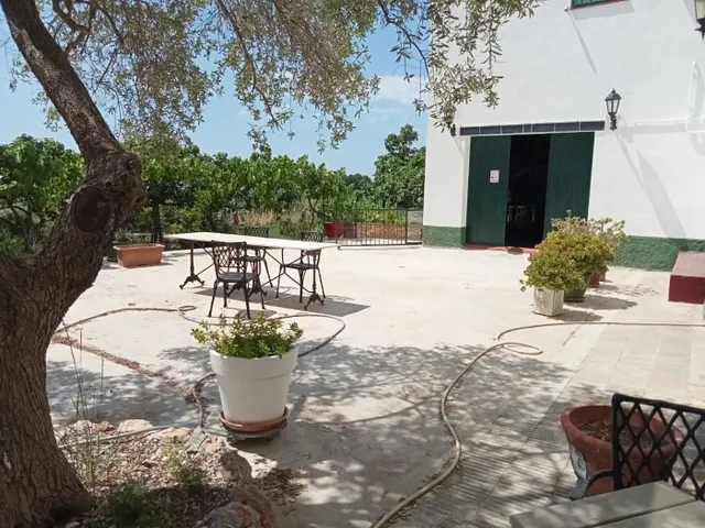 MASIA DEL 1960 CON 39000M2 DE TERRENO AGRICOLA AL LADO DEL MAR DE SANT SALVADOR — 7