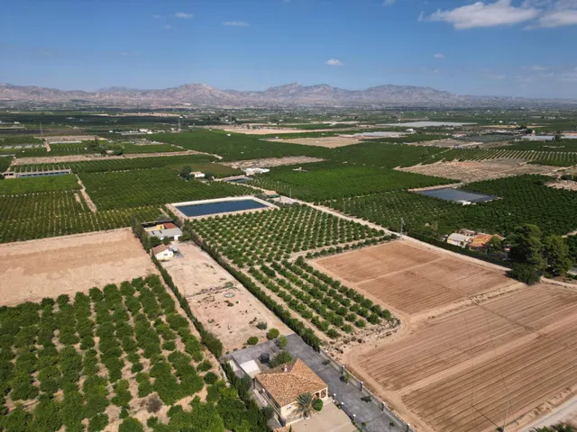 Oportunidad Inversión: Parcelas Rurales en Orihuela — 6