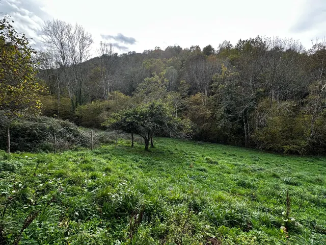 FINCA EDIFICABLE A 3 KM DE CANGAS DE ONIS — 6