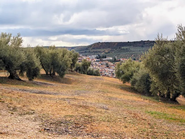 Terreno en Venta en Deifontes con proyecto de inversión - foto 2