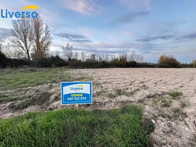 Oportunidad de Inversión: Terrenos de Regadío y Secano en Ar - foto 2