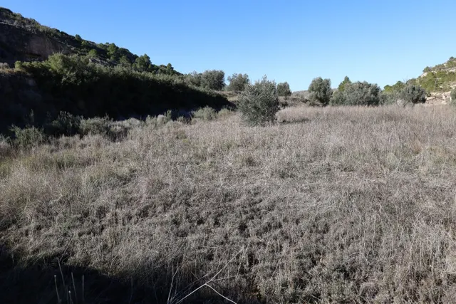 Se vende Terreno próximo a la Carretera de Castelserás - Alc - foto 4