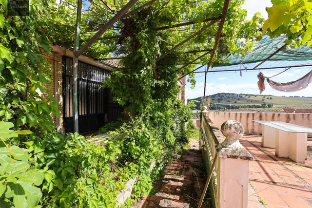 Amplio Chalet en Illora — 32