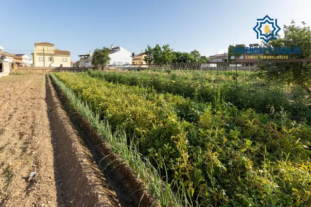 TERRENO URBANO 1060m EN LA ZUBIA — 18