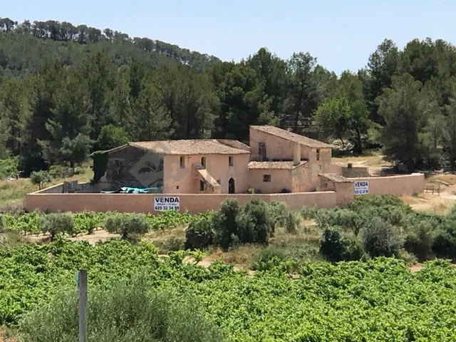 Finca rústica con dos casas a cinco minutos de Sitges. — 5