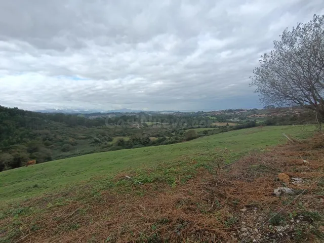 MÁS DE 5 Ha. DE NATURALEZA EN RUILOBA.-