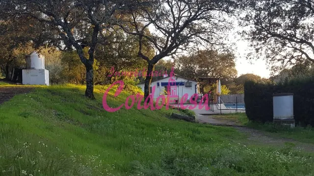 CASA CON TERRENO EN TRASSIERRA — 5