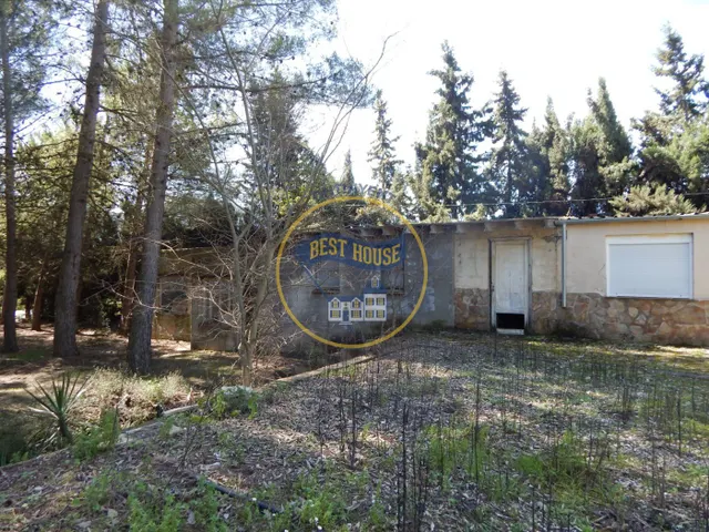 BONITA MASIA DEL SIGLO XVIII EN BOCAIRENT — 19