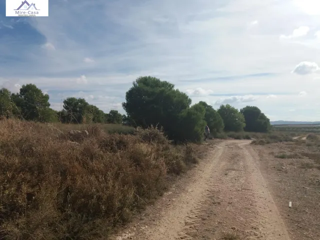 Se vende parcela en zona casa carrillo en tobarra — 7