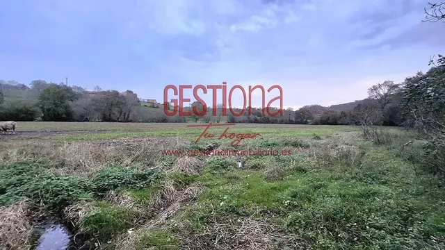 MAJESTUOSA CASA CON 100.000M2 DE TERRENO. LA CAVADA — 5