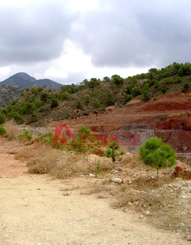 FINCA RÚSTICA CON RECURSO DE ARCILLA EN AGOST (ALICANTE). SIN COMISIÓN DE AGENCIA — 7