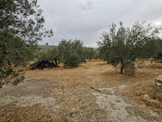 CASA DE CAMPO EN VENTA — 8