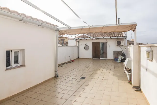 Pisazo en El Pinoso — 28