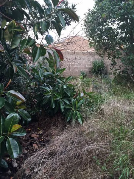 OFERTA!!! CASA PARA REFORMAR EN MONTIJO — 4