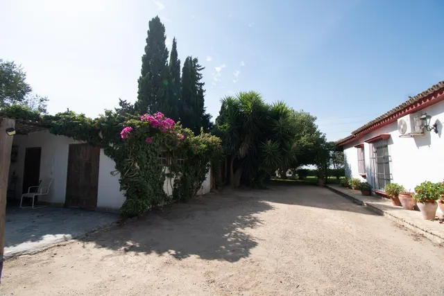 Oportunidad en Montealegre — 41
