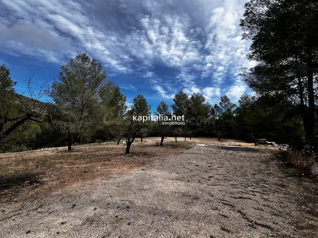 Terreno a la venta en Olleria - foto 2