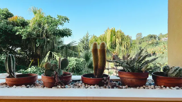 Apartamento 2 habitaciones 110m² en venta - Marbella — 22