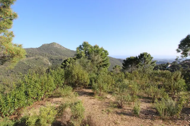 Parcela exclusiva con vistas al Mediterráneo en Benahavís — 14