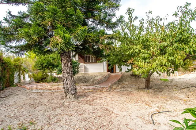 Casa rustica en Archena con vistas despejadas en parcela de mas de 1200m2 — 41