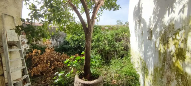 ¡¡Enorme casa con gran patio!!
