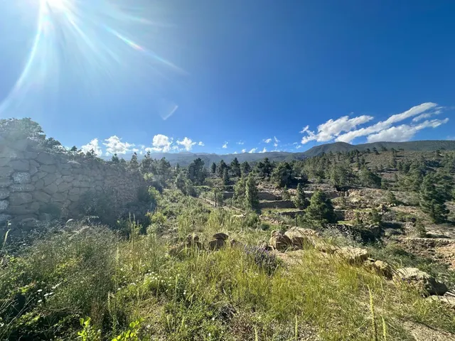Santuario ecológico entre pinos, mar y estrellas - foto 2