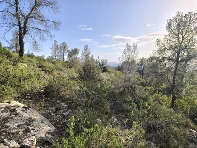 Parcela 999m² en venta - Ayuntamiento — 3