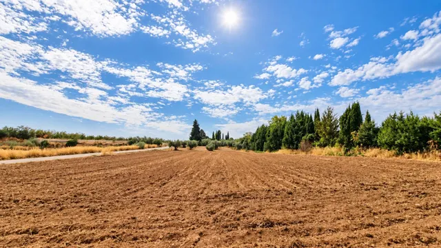 Parcela rústica de 4.824 m2 en Llanos de Moraleda, Moraleda de Zafayona — 12
