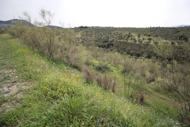 FINCA EN CORTIJO SAN JERÓNIMO (BARTODANO) — 37