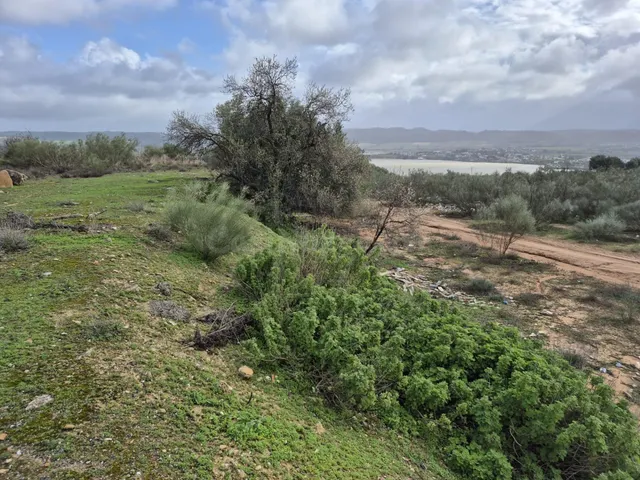 SE VENDE PARCELA EN ZONA CARRETERA EL BOSQUE- EL PANTANO DE  - foto 5
