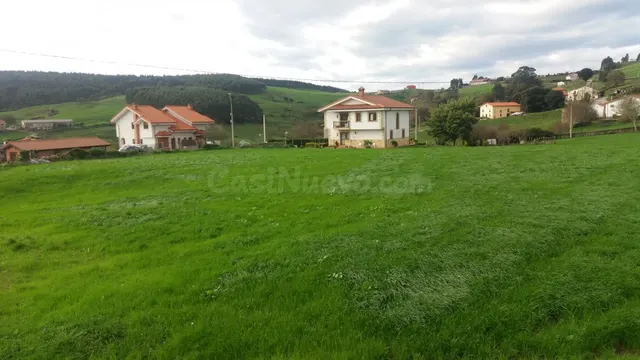 PARCELA URBANA EN ENTORNO NATURAL Y A 2 KILOMETROS DE LA PLA - foto 5