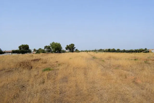 Finca rústica con posibilidad de vivienda en Santa Maria de  - foto 5