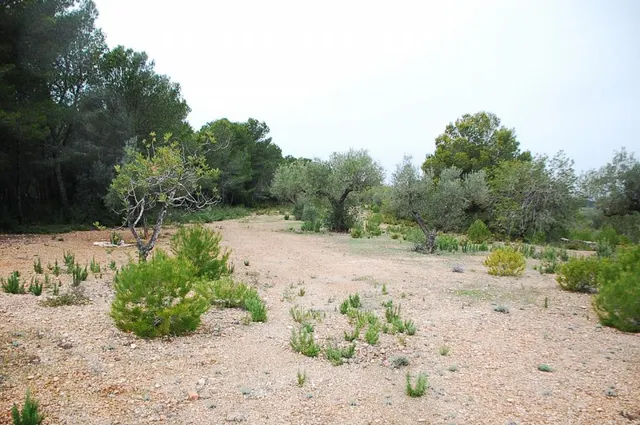 Finca rústica en venta - Afueras del pueblo — 6