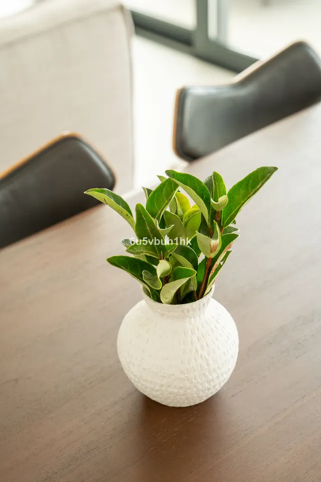 Apartamento 3 habitaciones 159m² en venta - Centro — 35