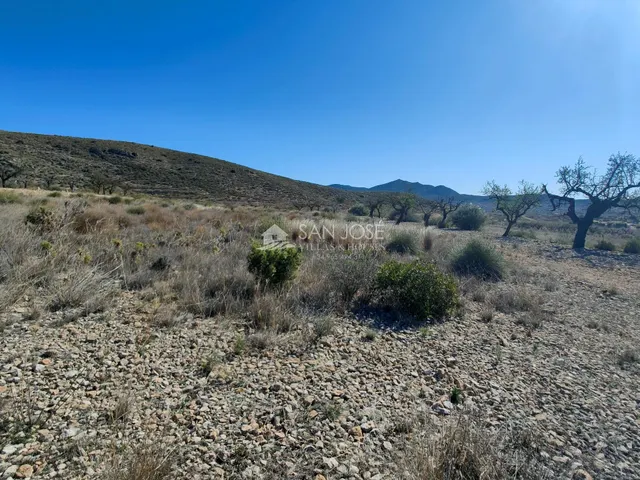SE VENDE PARCELA EN LA SOLANA DE HONDON DE LOS FRAILES — 7