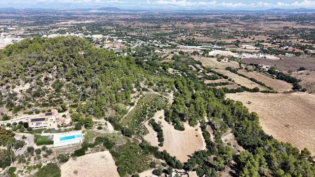 Terreno rústico de 10.000m2 en son quetlles, Felanitx — 20