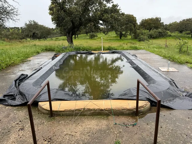 DEHESA EL ALFILEJO – ALCARACEJOS - foto 2