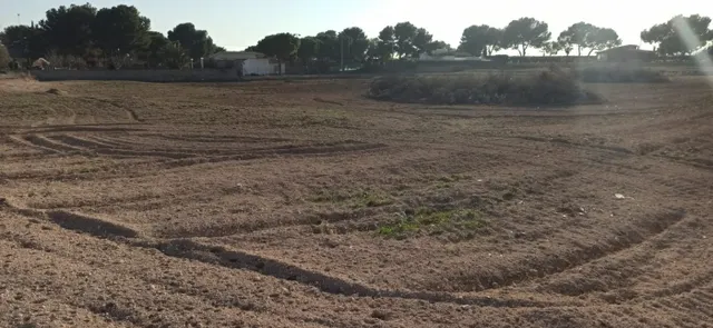 PARCELA EN VALVERDE — 16